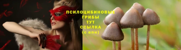 хмурый Киренск