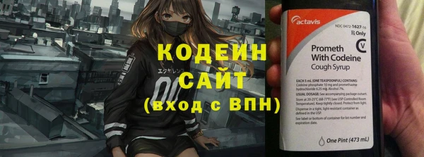 хмурый Киренск