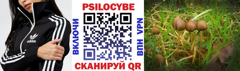 Псилоцибиновые грибы мухоморы  Бердск 